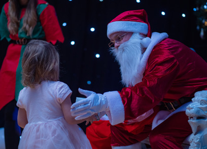 Little girl meets Santa
