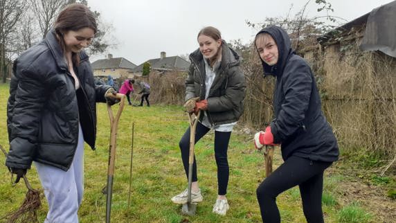Volunteers planting trees and digging