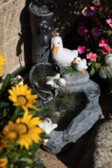 Curo in Bloom entry 2022