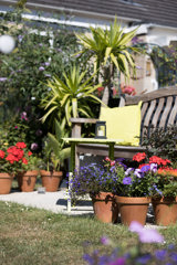 Curo in Bloom 2022