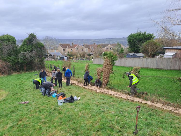 A group of people planting a hedgerow