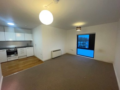 Kitchen-lounge open plan room