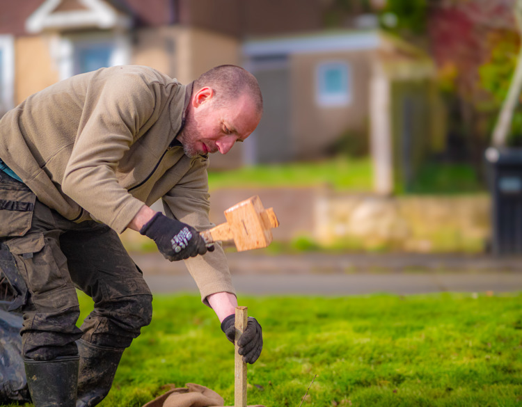 A man hammers a stake into the ground to support a young tree