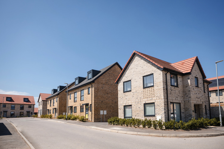 Bright sunshine shows off modern development of attractive homes