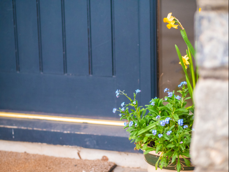 Daffodils and forget me not flowers in a pot by the front door