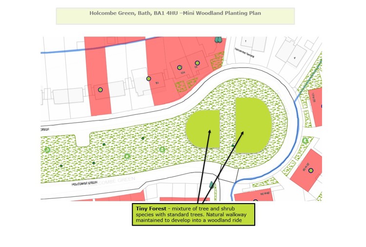 Illustrative diagram showing planting plan